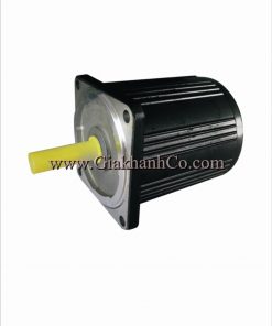 Động cơ bước Ms-01